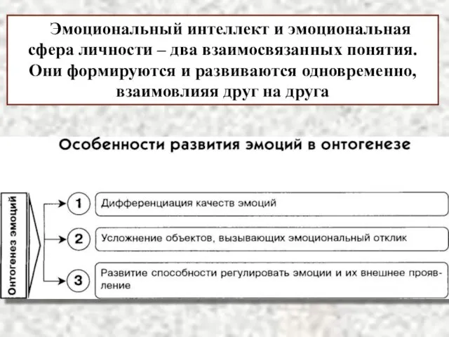 Эмоциональный интеллект и эмоциональная сфера личности – два взаимосвязанных понятия. Они формируются