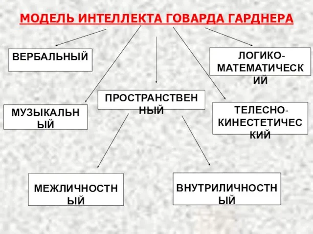 МОДЕЛЬ ИНТЕЛЛЕКТА ГОВАРДА ГАРДНЕРА ВЕРБАЛЬНЫЙ ЛОГИКО-МАТЕМАТИЧЕСКИЙ МУЗЫКАЛЬНЫЙ ТЕЛЕСНО-КИНЕСТЕТИЧЕСКИЙ ПРОСТРАНСТВЕННЫЙ МЕЖЛИЧНОСТНЫЙ ВНУТРИЛИЧНОСТНЫЙ