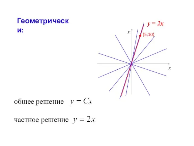 Геометрически: х у общее решение частное решение у = 2х (5;10)