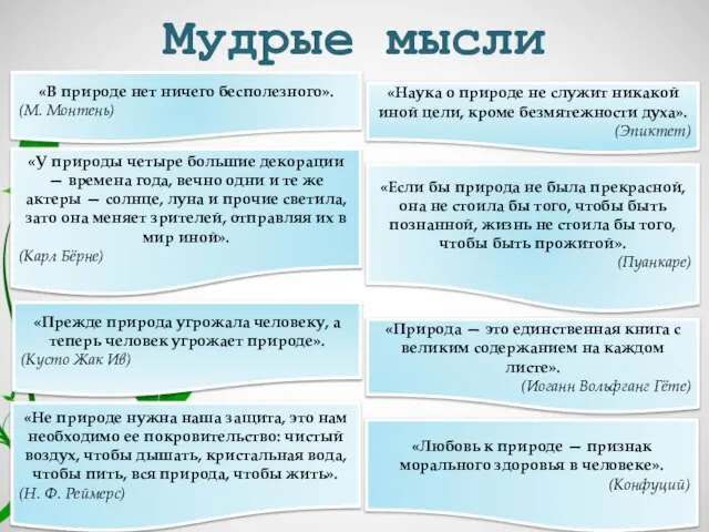 «У природы четыре большие декорации — времена года, вечно одни и те