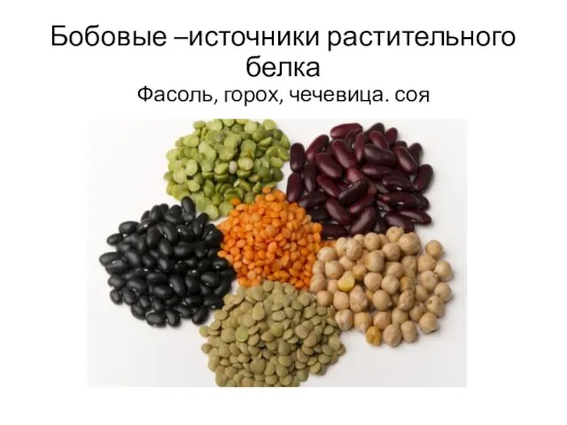 Бобовые –источники растительного белка Фасоль, горох, чечевица. соя