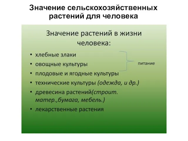 Значение сельскохозяйственных растений для человека