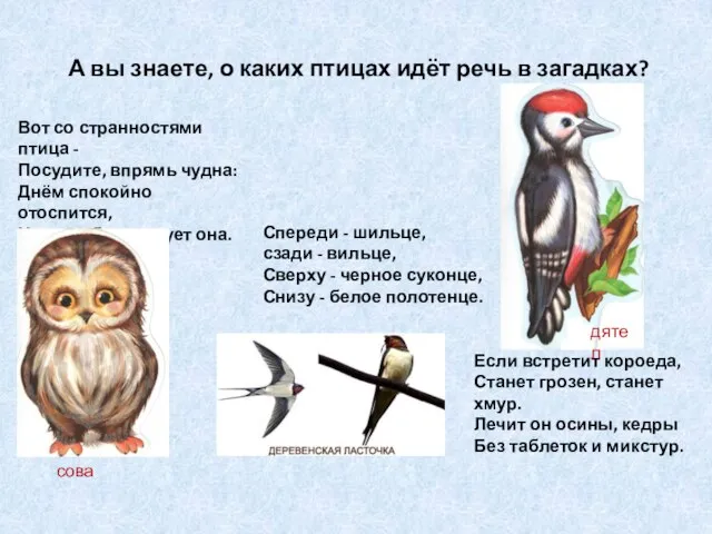 А вы знаете, о каких птицах идёт речь в загадках? Вот со