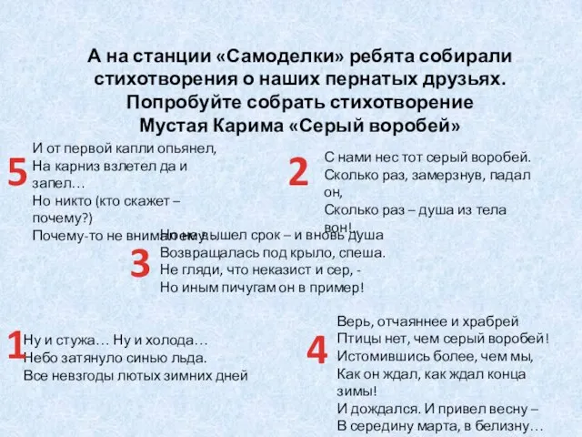 А на станции «Самоделки» ребята собирали стихотворения о наших пернатых друзьях. Попробуйте