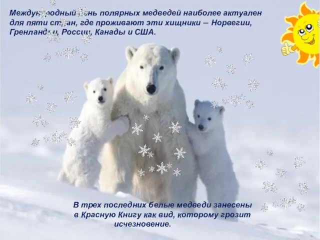 Международный день полярных медведей наиболее актуален для пяти стран, где проживают эти