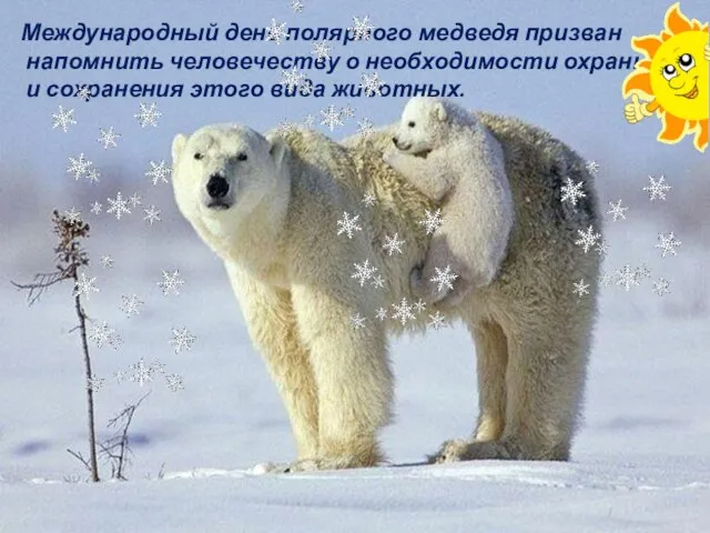 Международный день полярного медведя призван напомнить человечеству о необходимости охраны и сохранения этого вида животных.
