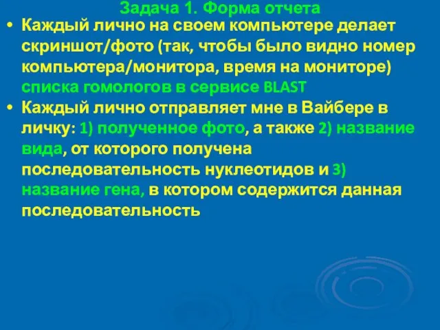 Задача 1. Форма отчета Каждый лично на своем компьютере делает скриншот/фото (так,