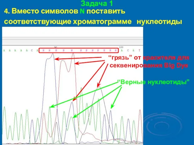 Задача 1 4. Вместо символов N поставить соответствующие хроматограмме нуклеотиды (A, T,