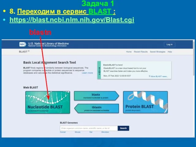 Задача 1 8. Переходим в сервис BLAST : https://blast.ncbi.nlm.nih.gov/Blast.cgi blastn