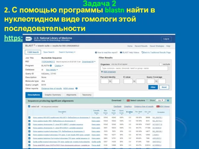 Задача 2 2. С помощью программы blastn найти в нуклеотидном виде гомологи этой последовательности https://blast.ncbi.nlm.nih.gov/Blast.cgi