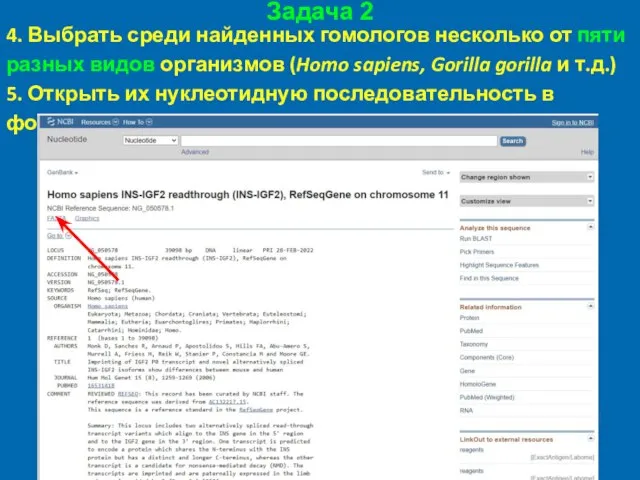 Задача 2 4. Выбрать среди найденных гомологов несколько от пяти разных видов