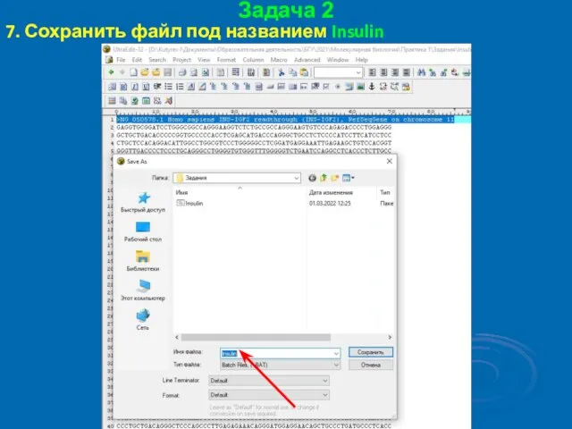 Задача 2 7. Сохранить файл под названием Insulin
