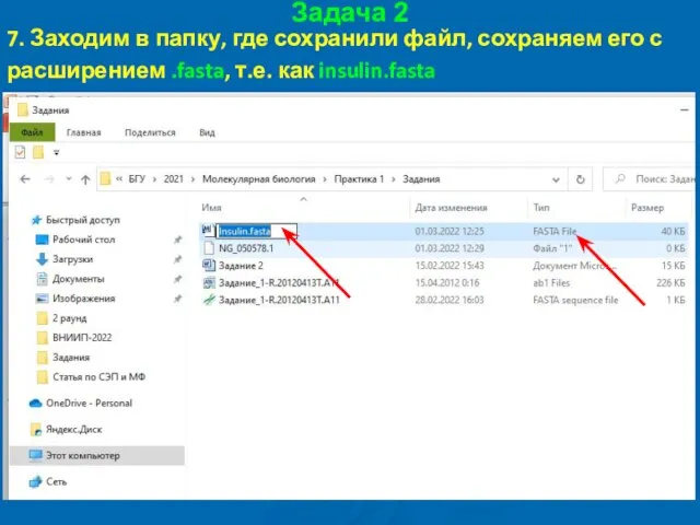 Задача 2 7. Заходим в папку, где сохранили файл, сохраняем его с