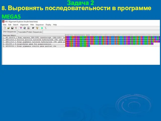 Задача 2 8. Выровнять последовательности в программе MEGA5