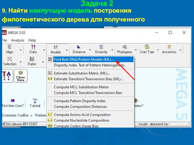 Задача 2 9. Найти наилучшую модель построения филогенетического дерева для полученного выравнивания