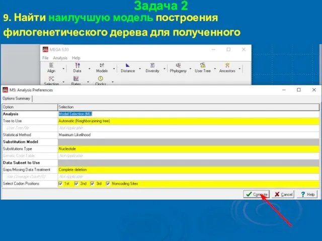 Задача 2 9. Найти наилучшую модель построения филогенетического дерева для полученного выравнивания