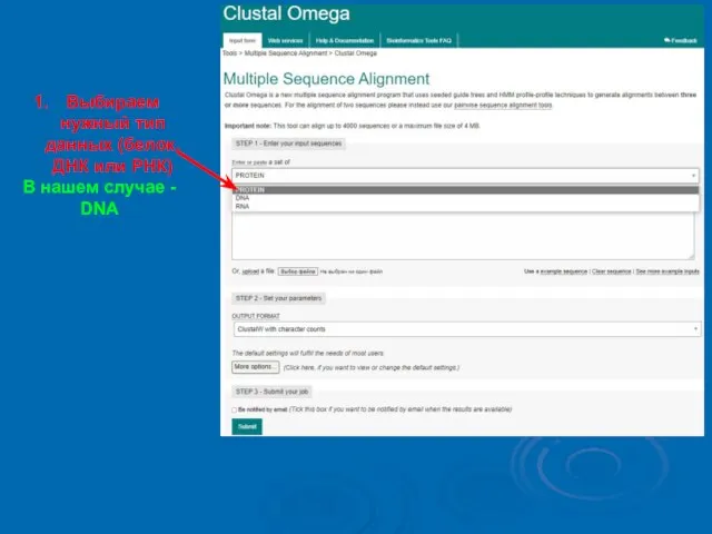 Выбираем нужный тип данных (белок, ДНК или РНК) В нашем случае - DNA