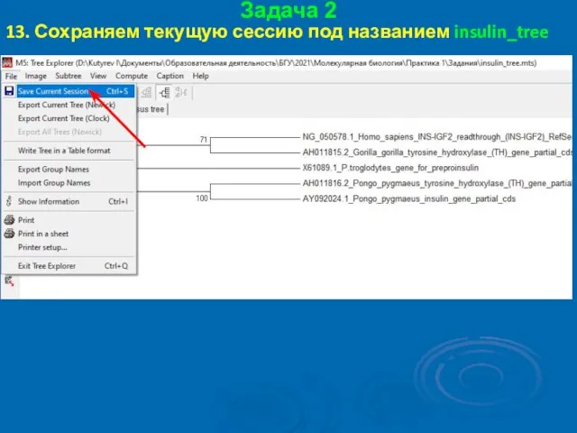 Задача 2 13. Сохраняем текущую сессию под названием insulin_tree