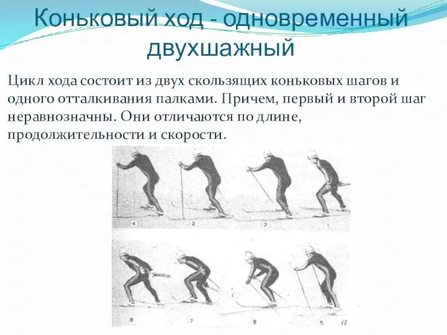 Коньковый ход - одновременный двухшажный Цикл хода состоит из двух скользящих коньковых