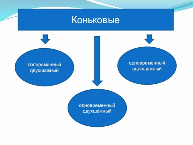 Коньковые одновременный двухшажный попеременный двухшажный одновременный одношажный