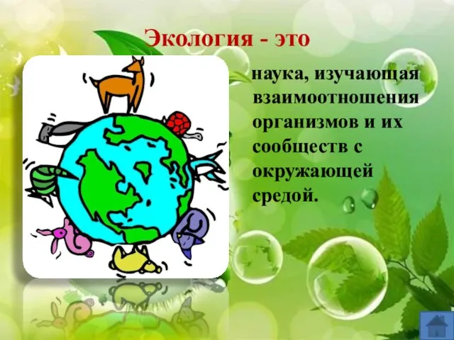 Экология - это наука, изучающая взаимоотношения организмов и их сообществ с окружающей средой.