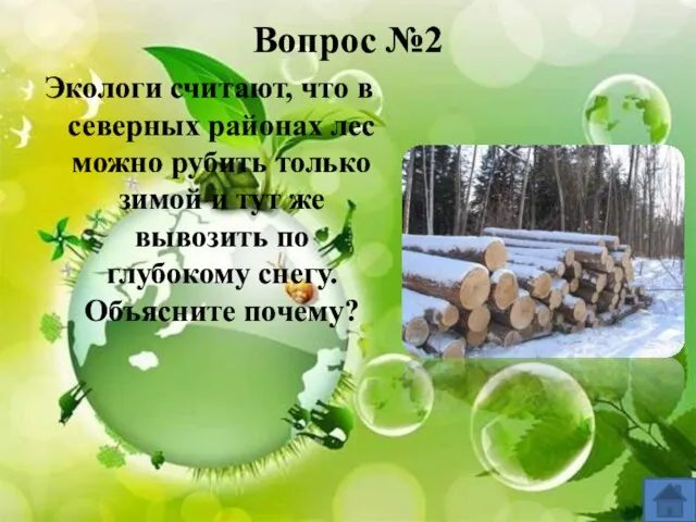 Вопрос №2 Экологи считают, что в северных районах лес можно рубить только