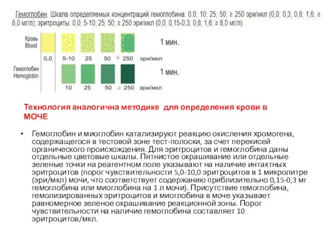 Гемоглобин и миоглобин катализируют реакцию окисления хромогена, содержащегося в тестовой зоне тест-полоски,