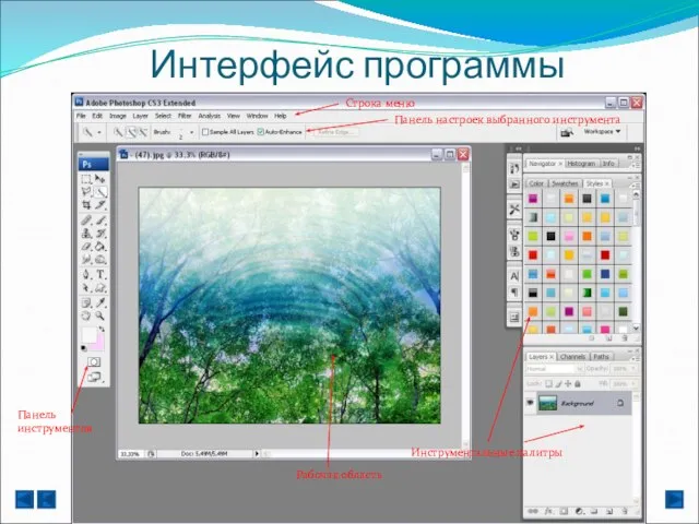 Интерфейс программы Строка меню Панель настроек выбранного инструмента Рабочая область Панель инструментов Инструментальные палитры