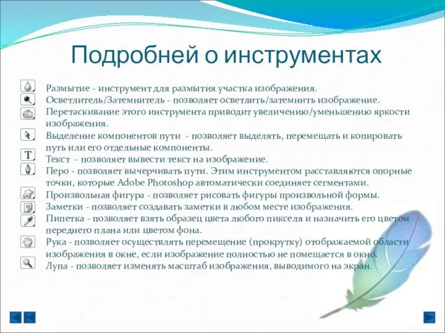 Подробней о инструментах Размытие - инструмент для размытия участка изображения. Осветлитель/Затемнитель -