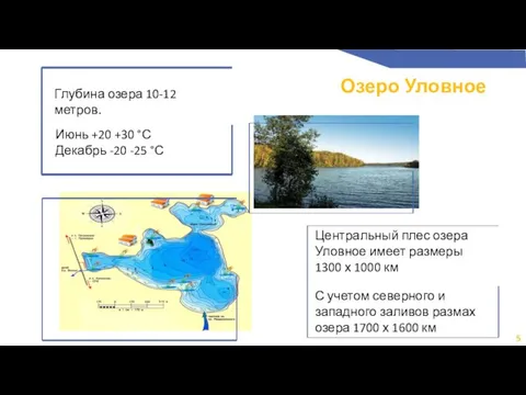 Озеро Уловное 5 Глубина озера 10-12 метров. Центральный плес озера Уловное имеет