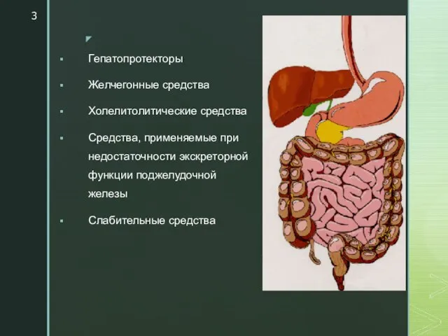 Гепатопротекторы Желчегонные средства Холелитолитические средства Средства, применяемые при недостаточности экскреторной функции поджелудочной железы Слабительные средства