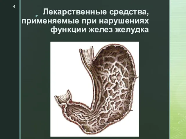 Лекарственные средства, применяемые при нарушениях функции желез желудка