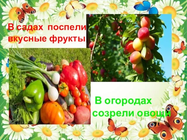 В садах поспели вкусные фрукты В огородах созрели овощи