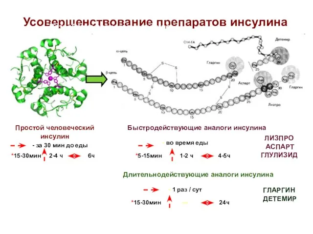 Усовершенствование препаратов инсулина Разработка аналогов инсулина Простой человеческий инсулин - за 30