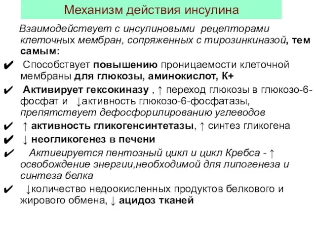 Механизм действия инсулина Взаимодействует с инсулиновыми рецепторами клеточных мембран, сопряженных с тирозинкиназой,