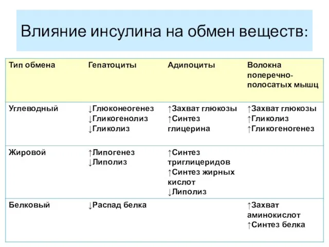 Влияние инсулина на обмен веществ: