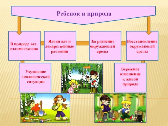 Ребенок и природа В природе все взаимосвязано Ядовитые и лекарственные растения Загрязнение