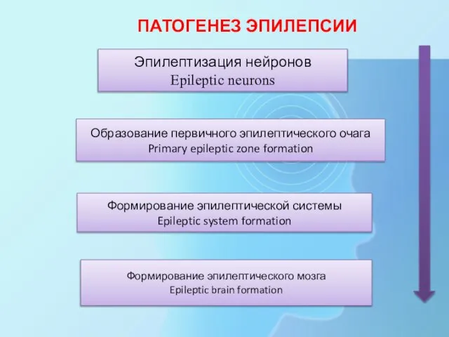 ПАТОГЕНЕЗ ЭПИЛЕПСИИ Эпилептизация нейронов Epileptic neurons Образование первичного эпилептического очага Primary epileptic