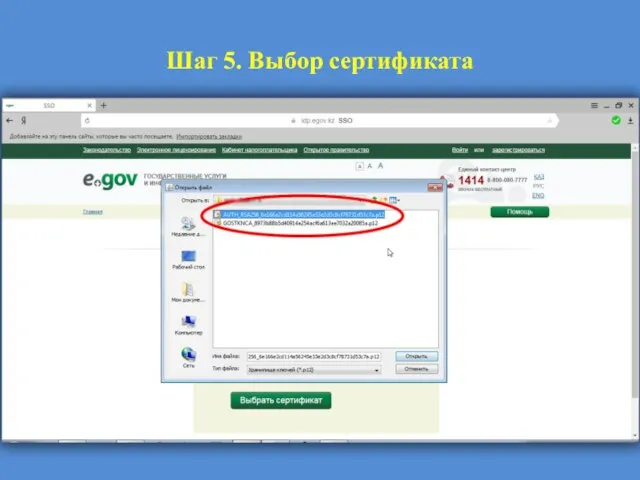 Шаг 5. Выбор сертификата
