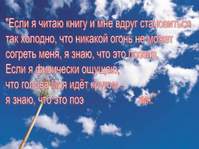 "Если я читаю книгу и мне вдруг становиться так холодно, что никакой