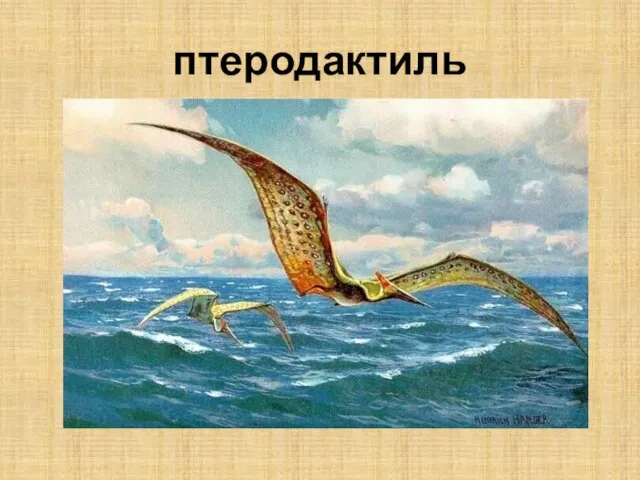 птеродактиль