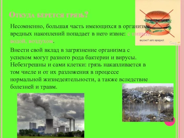 Откуда берется грязь? Несомненно, большая часть имеющихся в организме вредных накоплений попадает