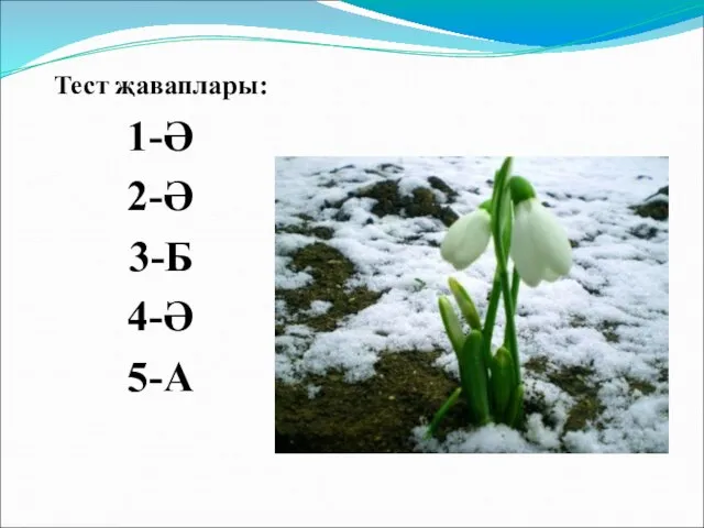 Тест җаваплары: 1-Ә 2-Ә 3-Б 4-Ә 5-А