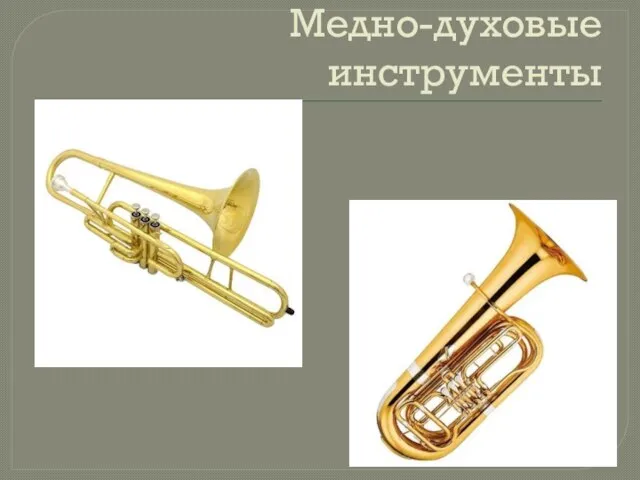 Медно-духовые инструменты