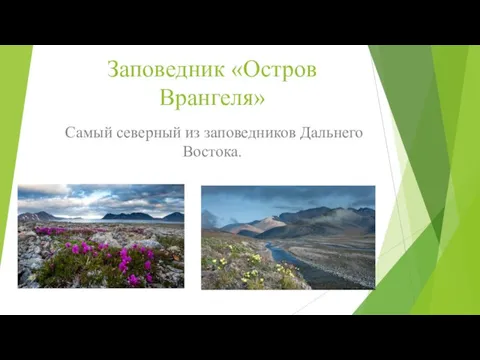 Заповедник «Остров Врангеля» Самый северный из заповедников Дальнего Востока.