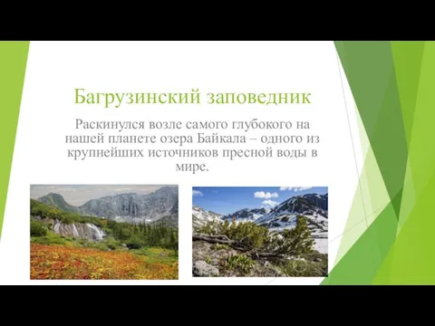 Багрузинский заповедник Раскинулся возле самого глубокого на нашей планете озера Байкала –