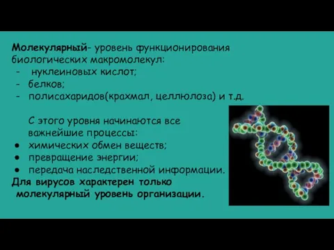 Молекулярный- уровень функционирования биологических макромолекул: нуклеиновых кислот; белков; полисахаридов(крахмал, целлюлоза) и т.д.