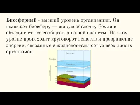 Биосферный - высший уровень организации. Он включает биосферу — живую оболочку Земли