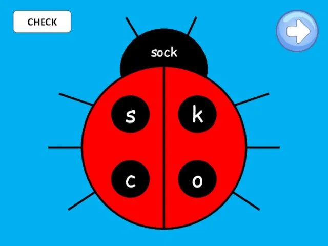 CHECK s k c o sock