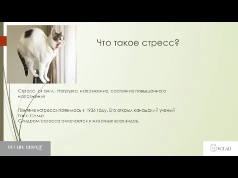 Что такое стресс? Стресс- от англ.- Нагрузка, напряжение, состояние повышенного напряжения Понятие